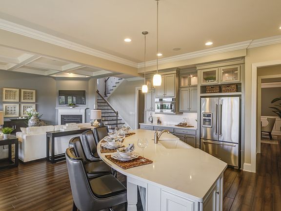 Open Gourmet Kitchen