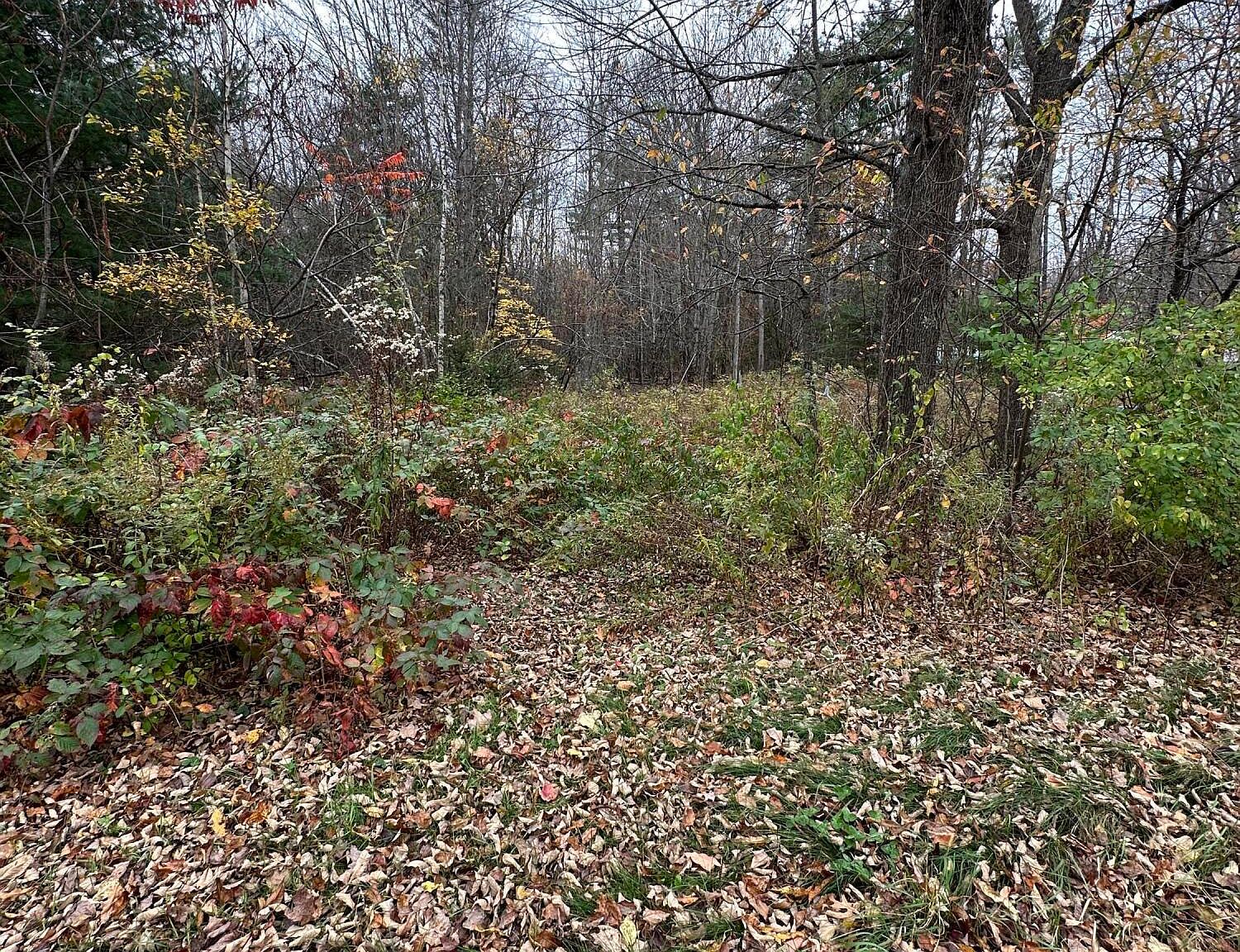 100 Mount Road Lot 40A, Burnham, ME 04922 Zillow