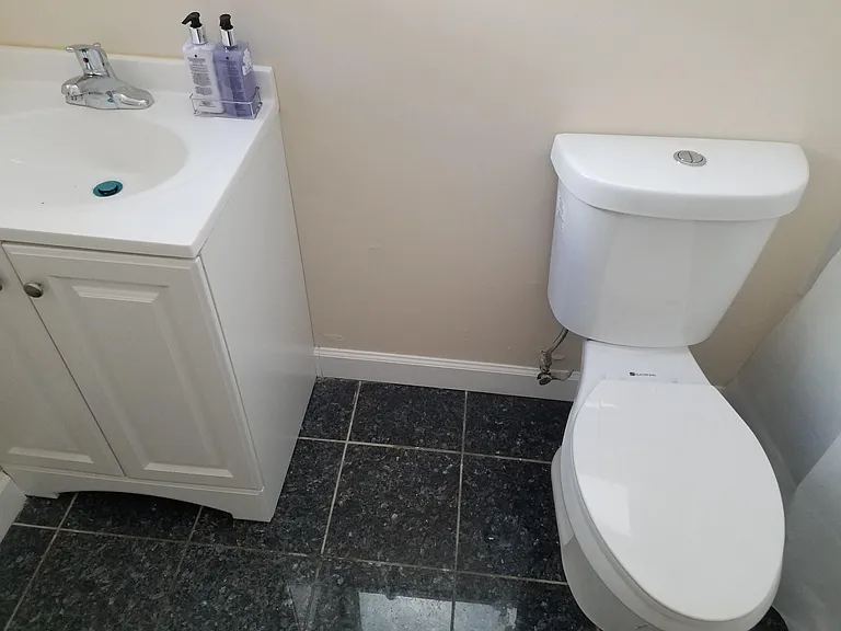 Bathroom commode and sink