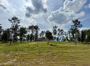 LOT 74 Western Rd, Livingston, TX 77351