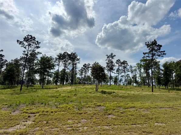 LOT 74 Western Rd, Livingston, TX 77351
