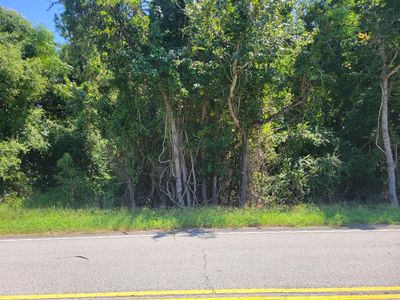 0 Dr Evans Rd, Moncks Corner, SC, 29461