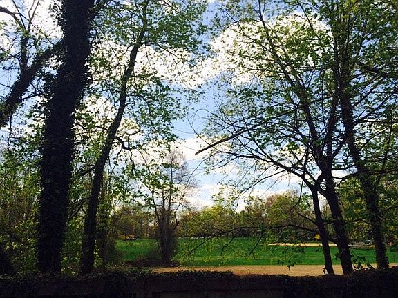 Back field view