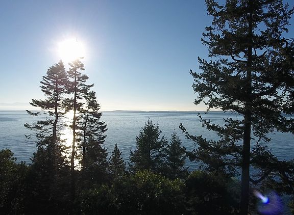 SW view from deck--Victoria