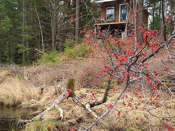Guest cabin from water