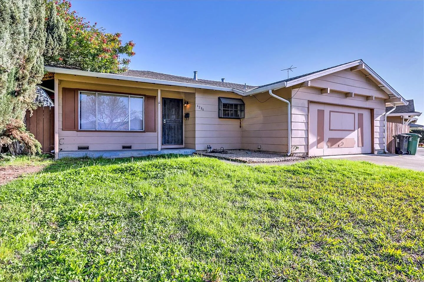 6286 Escallonia Dr photo 1