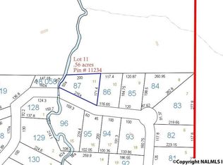 11 County Road 667, Cedar Bluff, AL