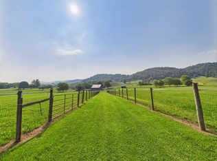 31408 Old Saltworks Rd, Meadowview, VA 24361