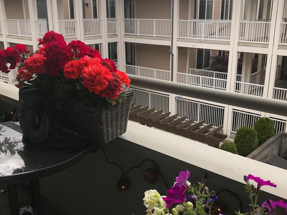 1st image of 22215 6th Ave S APT 205