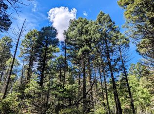 6162 Batton Rd, Fort Garland, CO 81133