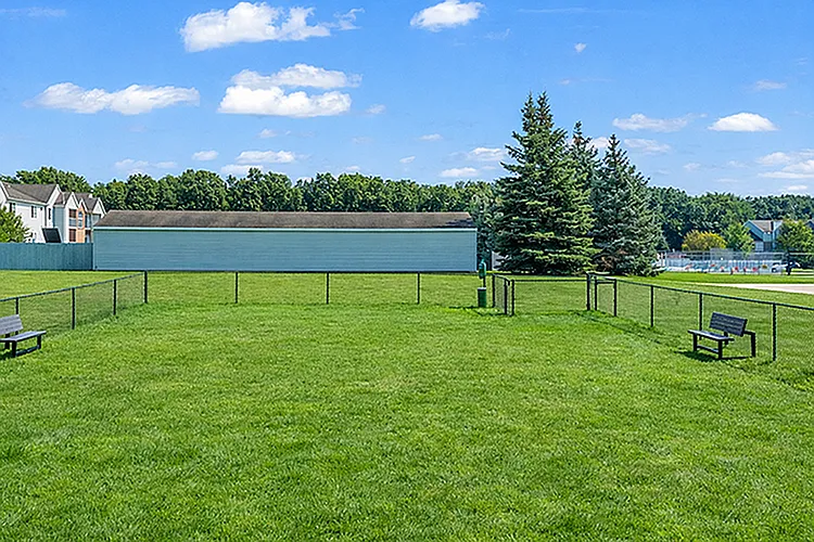 Somerset Park — Photo 17