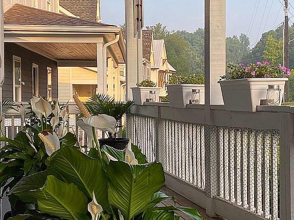 Plenty of room for plants
