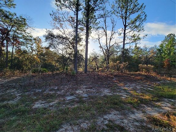 4th image of 2492 W Bravura Dr