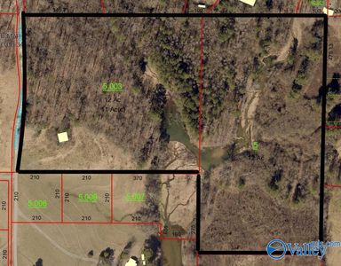 County Road 1653, Cullman, AL, 35058