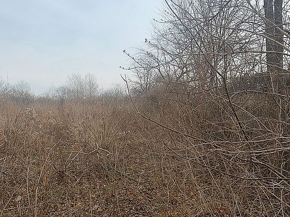 3rd image of 1S731 State Route 53