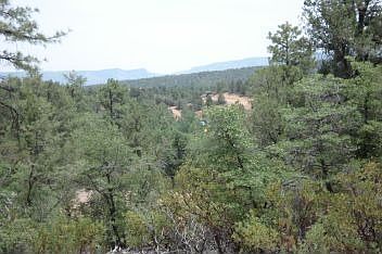 Rim Views
