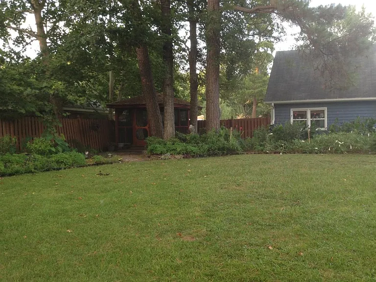 Large back yard