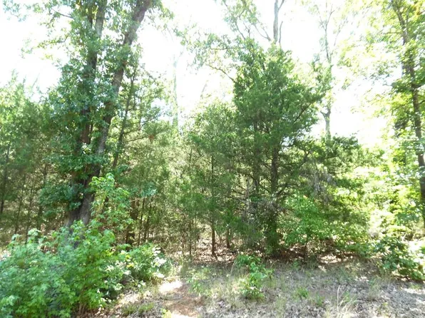 12 Deer Path, Murchison, TX 75778