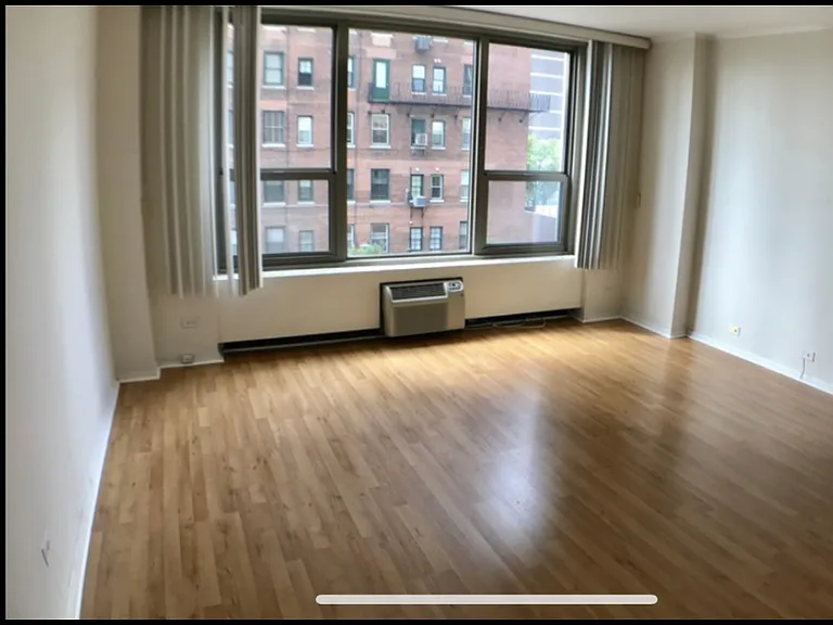 1550 N Lake Shore Dr #4D — Photo 5
