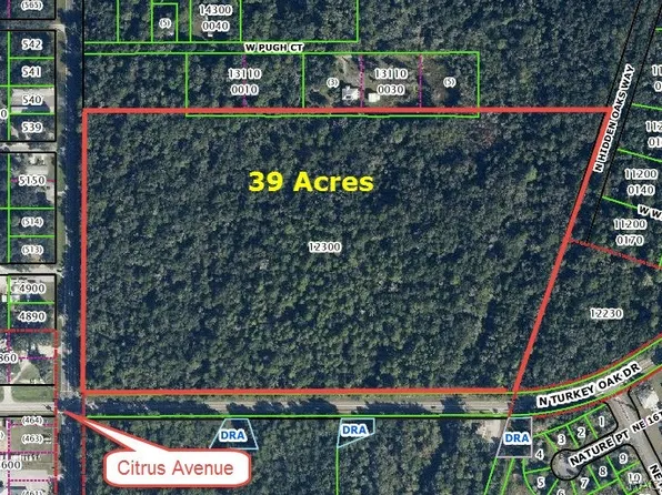 3607 N Citrus Ave, Crystal River, FL 34428