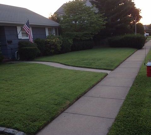 2nd image of 231 Mineola Ave