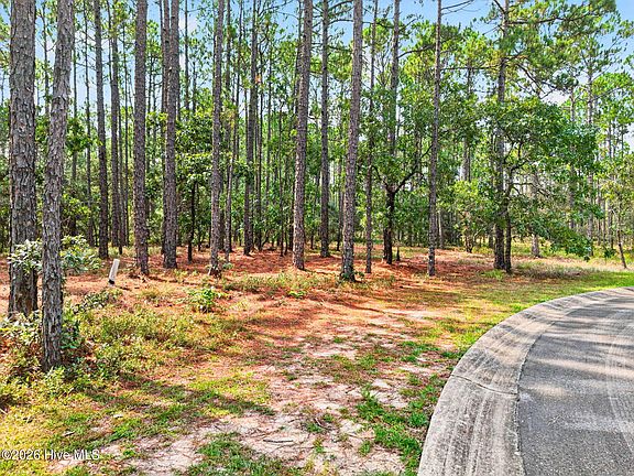 5th image of 539 Verona Pointe SE Lot 450