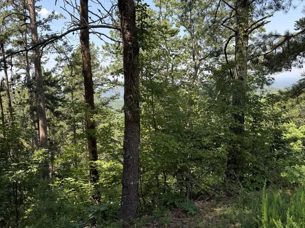 1579 Dallas Ct, Ranger, GA 30734