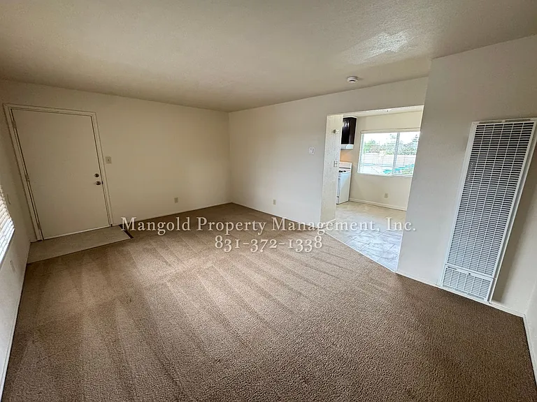 255four — Photo 12