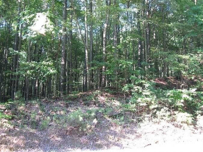 2nd image of 0 Old Federal Rd Lot 6.37
