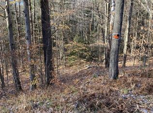 N Groton Rd #2, Hebron, NH 03241