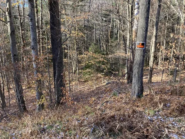 North Groton Road #2, Groton, NH 03241