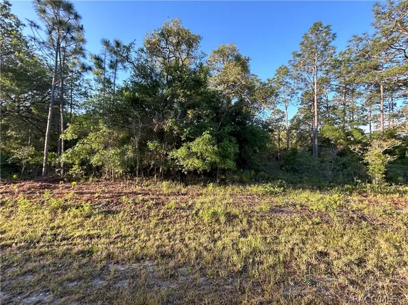 11222 W Acacia Dr, Crystal River, FL 34428