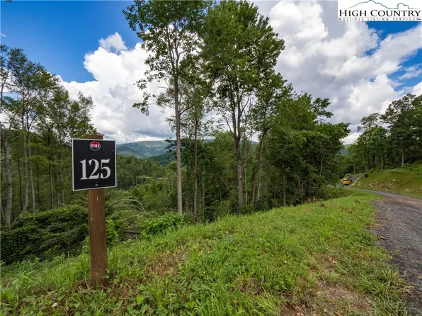Lot 125 Tower Oaks Trail, Elk Park, NC 28622
