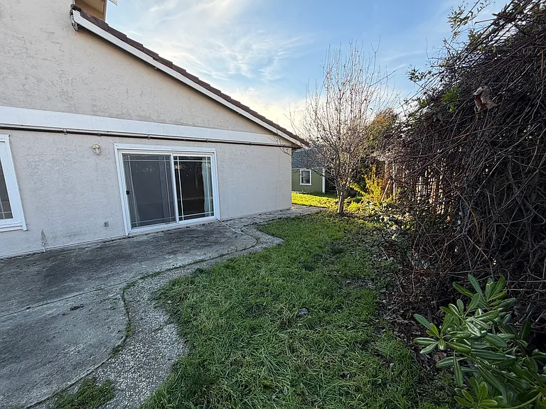 33514 Stephano Ct — Photo 25