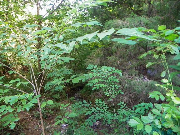 5th image of 0 McCarter Hollow Rd