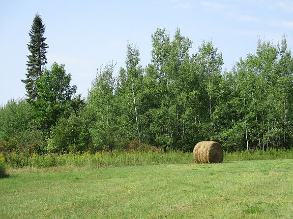 2nd image of 7295 S Nindorf Rd