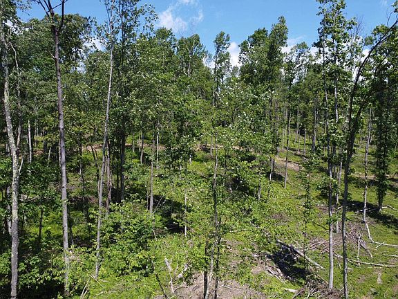 4th image of Eagles Nest Rd