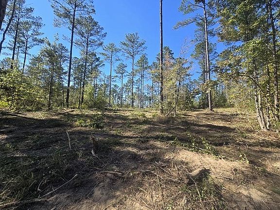 4th image of 0 Bull Slough Rd Lot 8