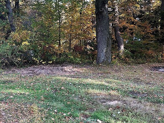 4th image of 3117 Spruce Dr