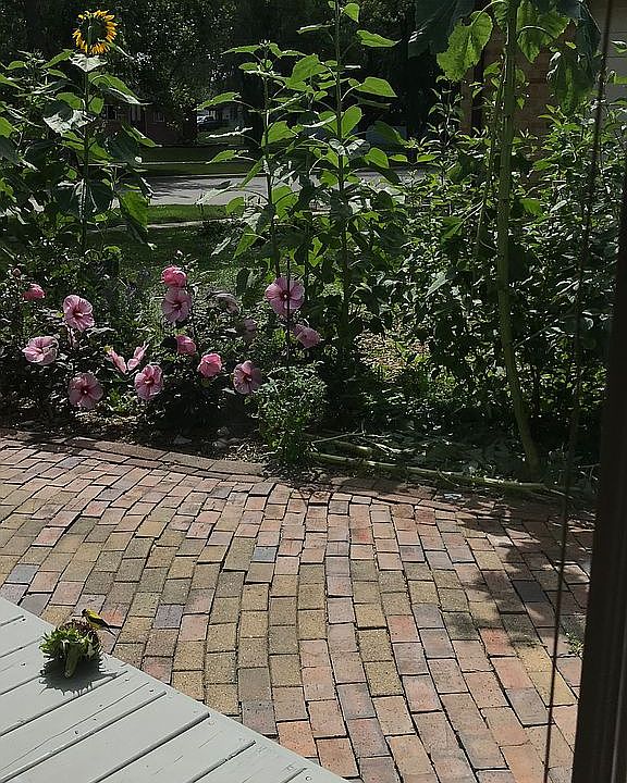 1st image of 605 Maywood Ln