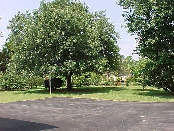 Back yard