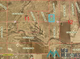 Forrest Lee Rd #220, Artesia, NM 88210