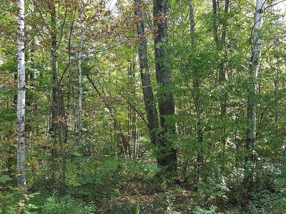ON Altamont Road, Mason, WI 54856 MLS 1579636 Zillow