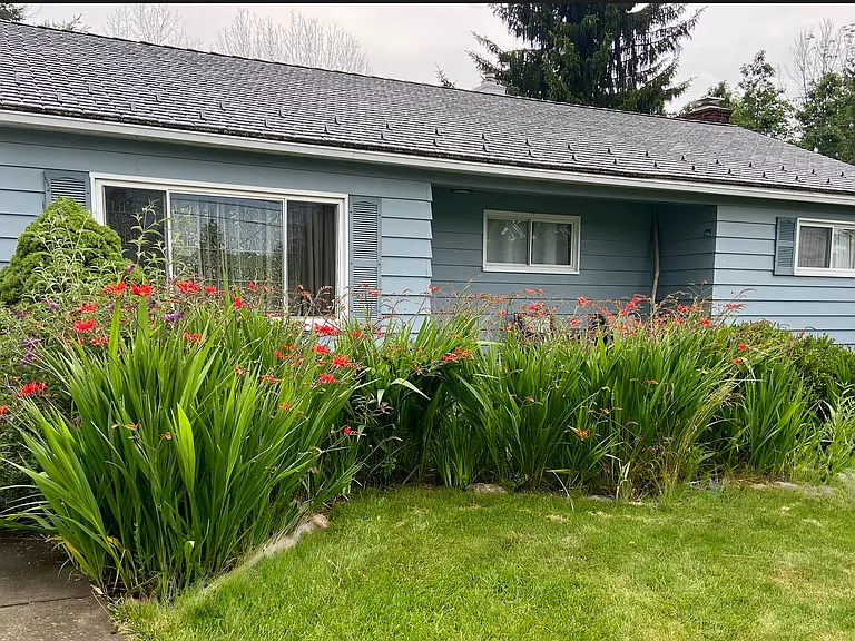 Front yard in July - hummingbirds and butterflies galore
