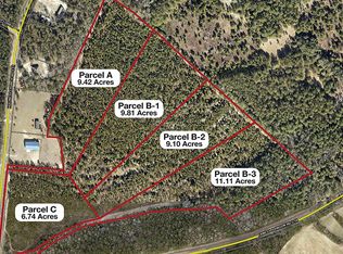 PARCEL Holiness Church Rd #B, Wagener, SC 29164