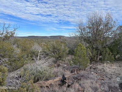 20615004 Terry Ln, Williams, AZ, 86046