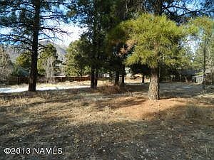3rd image of 3676 E Silver Fox Cir