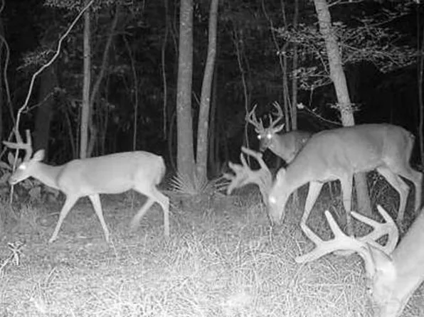 2200 Gillionville Rd, Albany, GA 31707