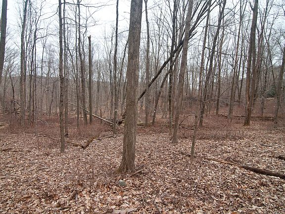 Deepwood Lot 5-2 Photo.jpg