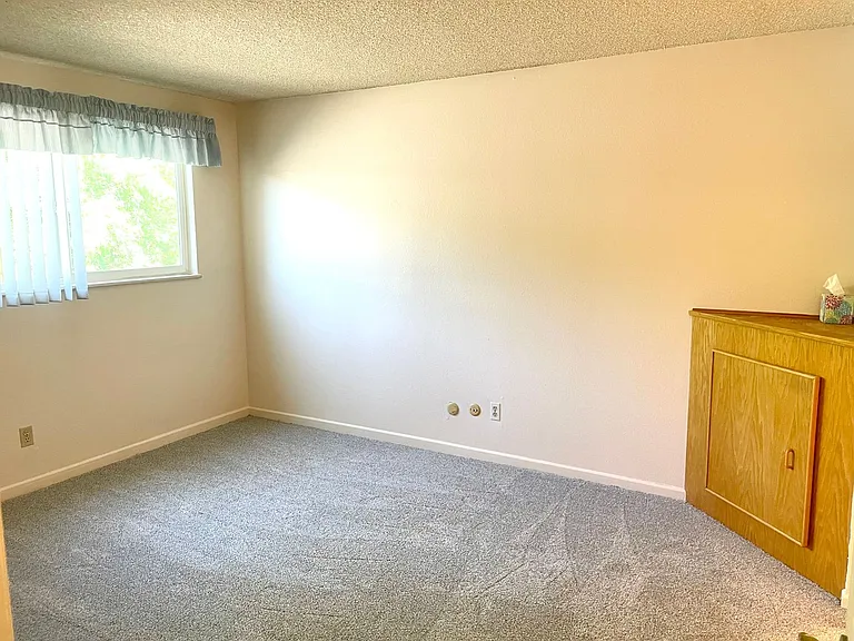 1237 Dillon Way — Photo 11